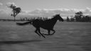 Eyre Monochrome 8-LUT Pack