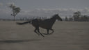Eyre Monochrome 8-LUT Pack